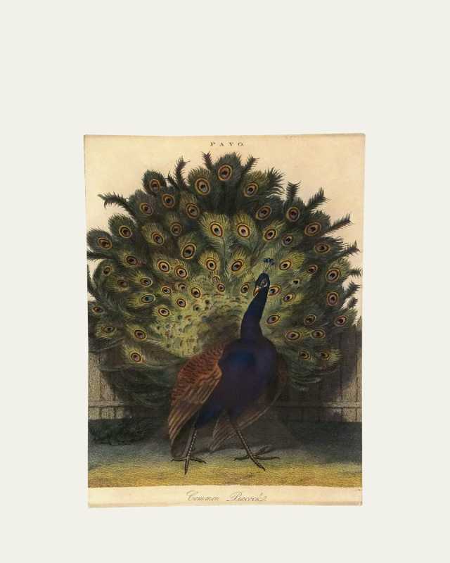 Common Peacock Trinket Tray, 6" x 9"